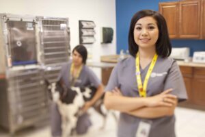 In Their Shoes – Veterinary Assisting