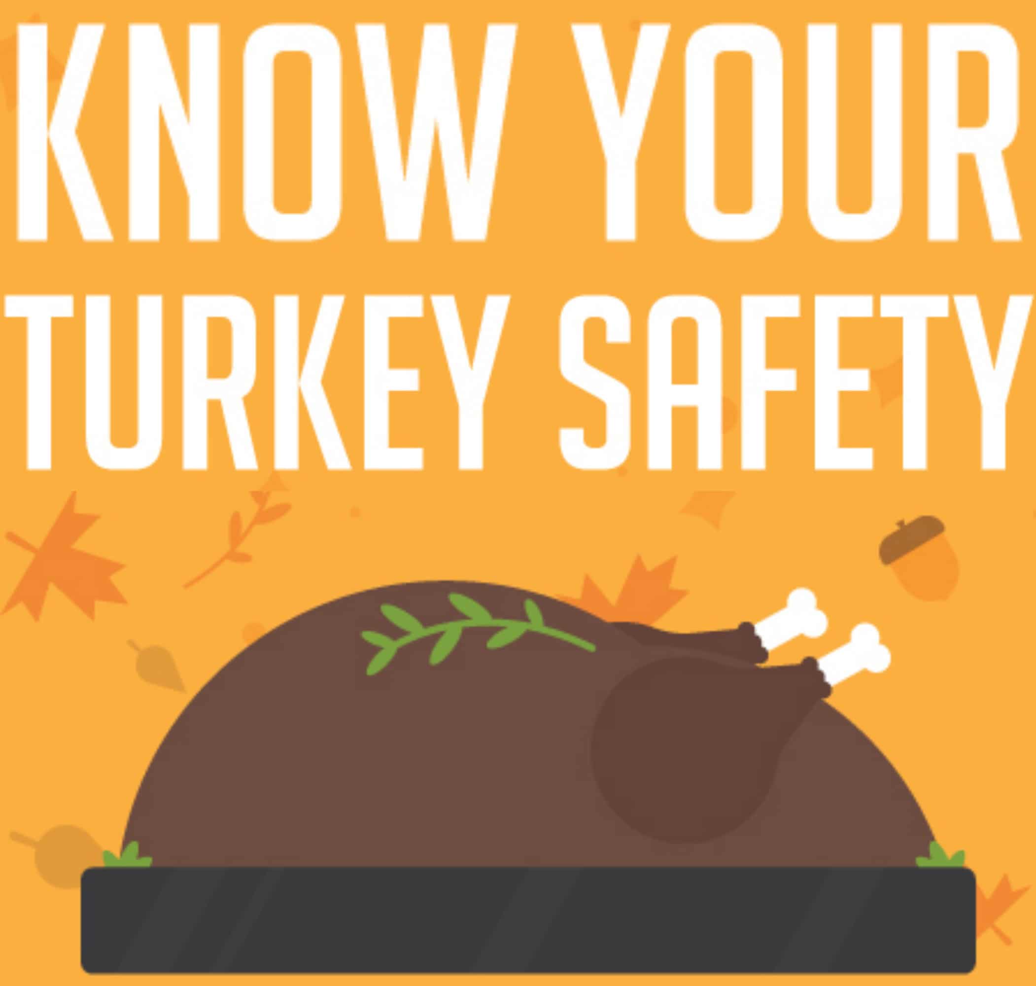 Thanksgiving Turkey Safety - Carrington.edu