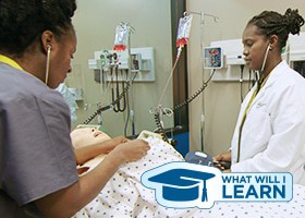 What Will I Learn: Registered Nursing