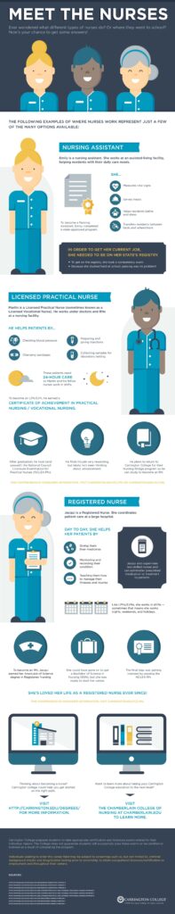 Meet The Different Types of Nurses