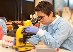 What Does a Medical Laboratory Technician Do?