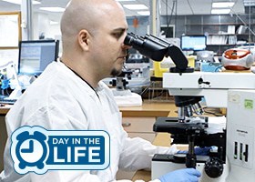 A Day in the Life of a Medical Laboratory Technician