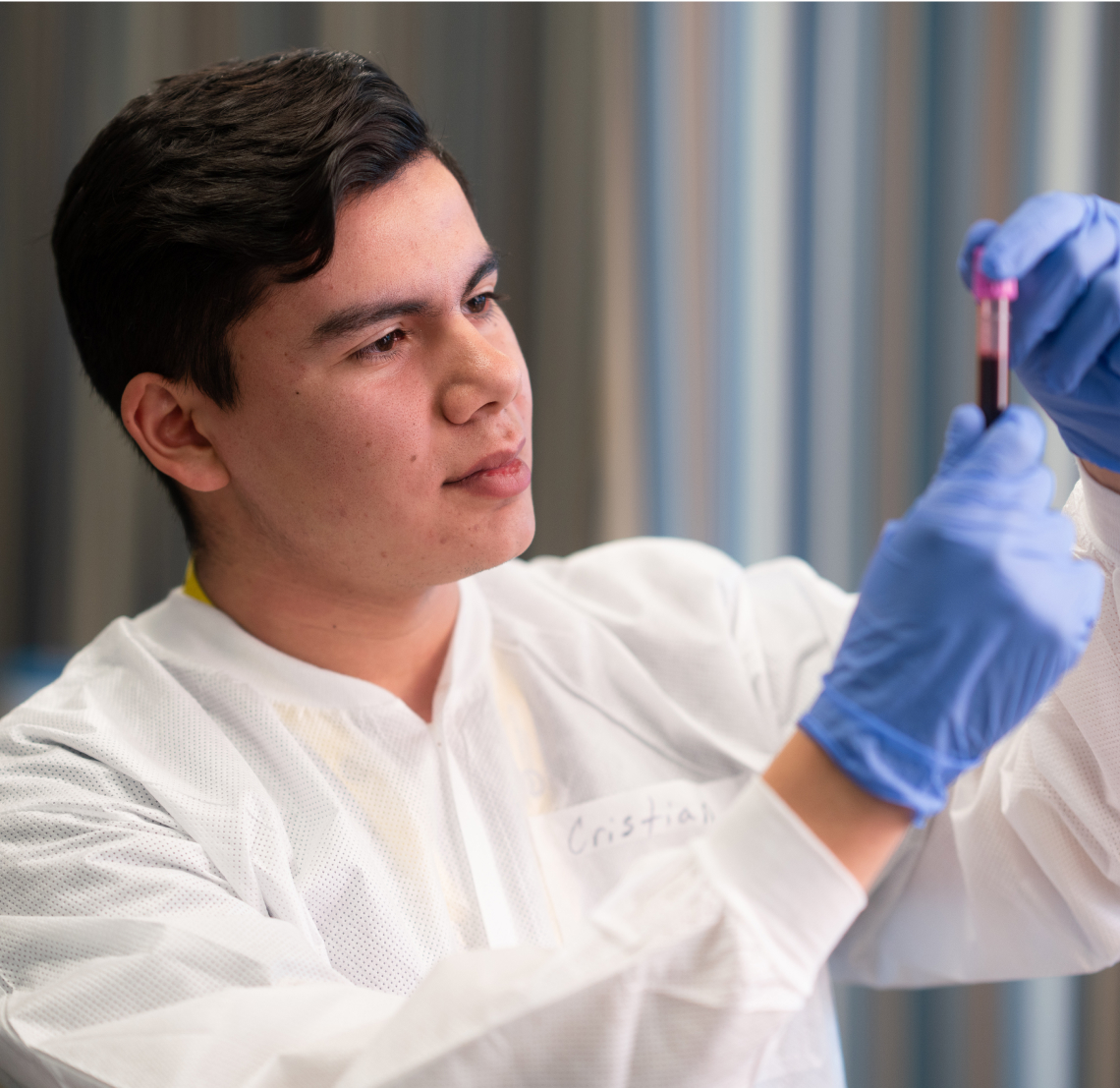 Carrington College Phlebotomy Technician student observing blood specimen