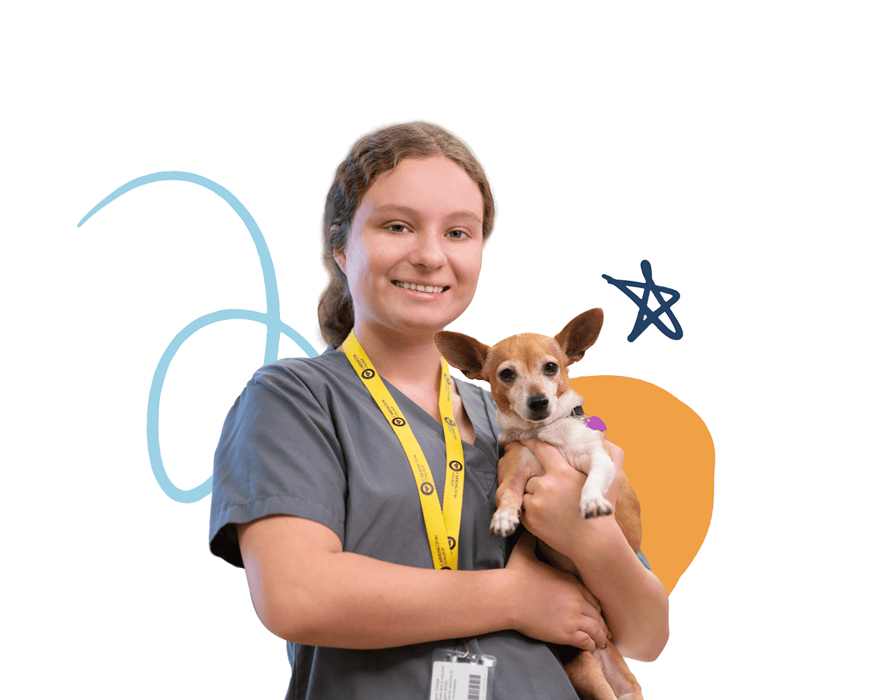 Veterinary Assistant Certificate Program | Carrington College