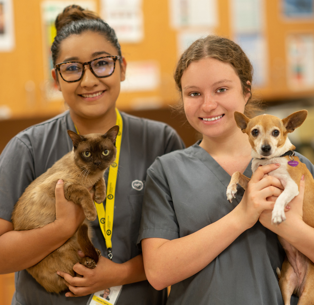 Two Carrington College veterinary students carrying dogs and posing for the camera