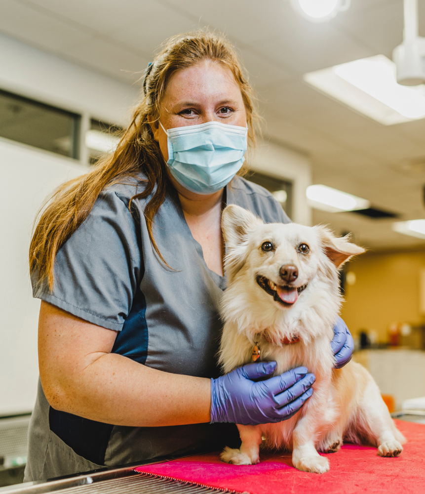 Masked Carrington College veterinary student holding to patient dog and posing for the camera