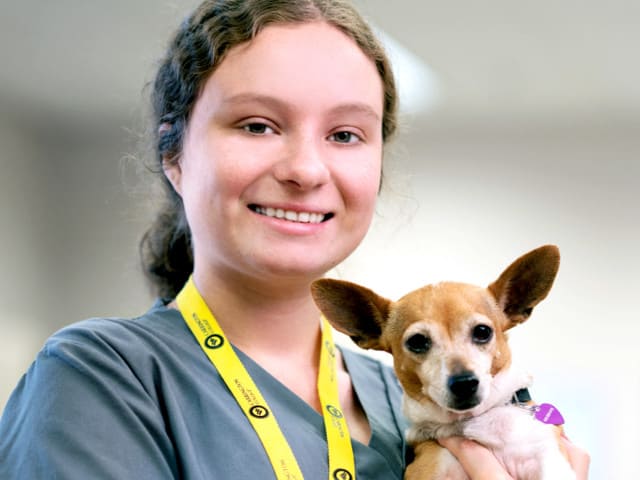 Young woman in scrubs holding small dog.