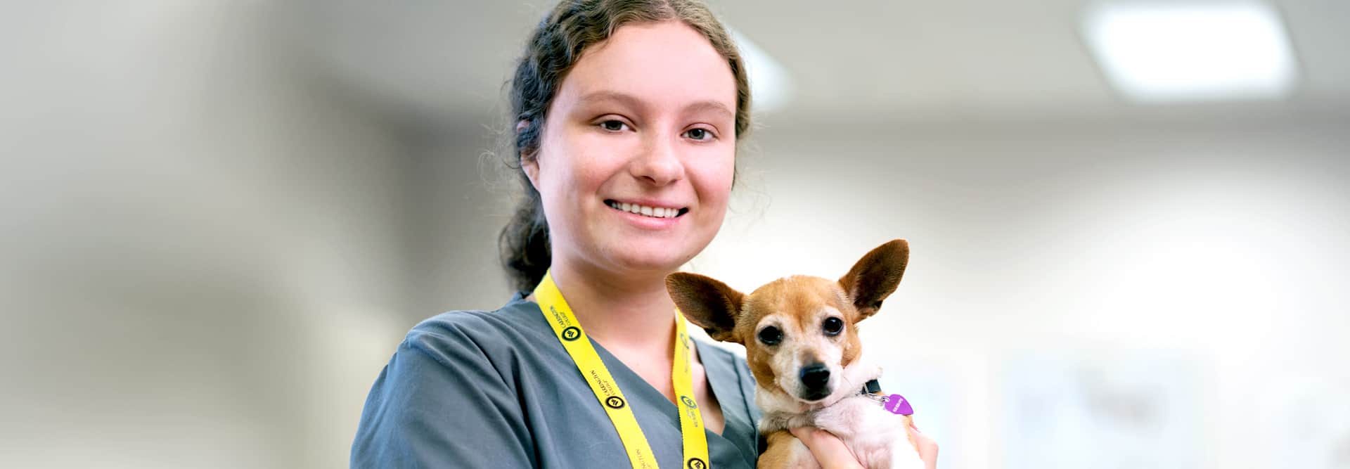 veterinary-assistant-certificate-program-carrington-college