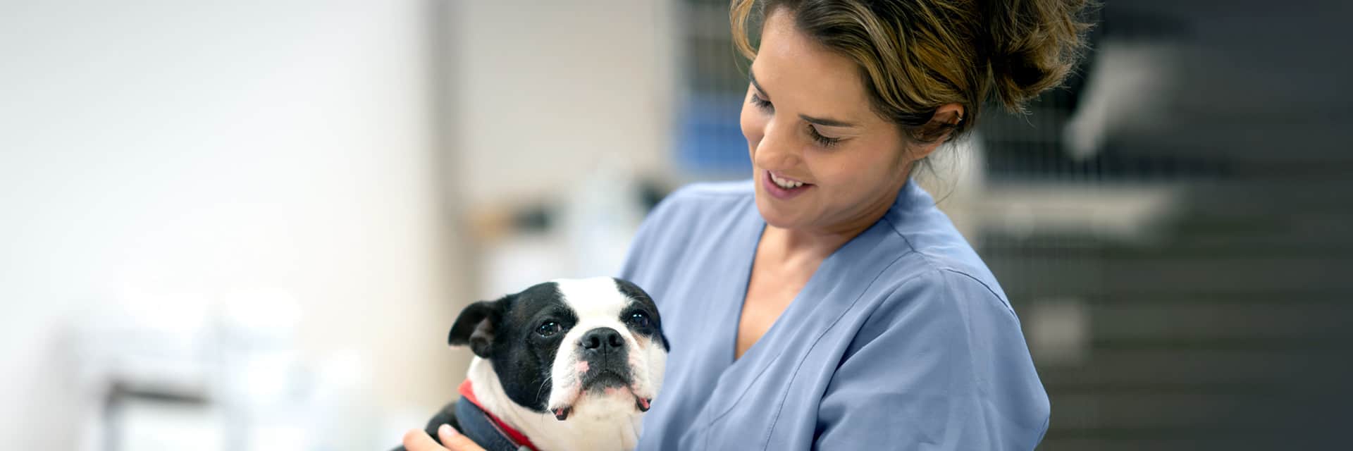 Young woman in scrubs with black and white dog.