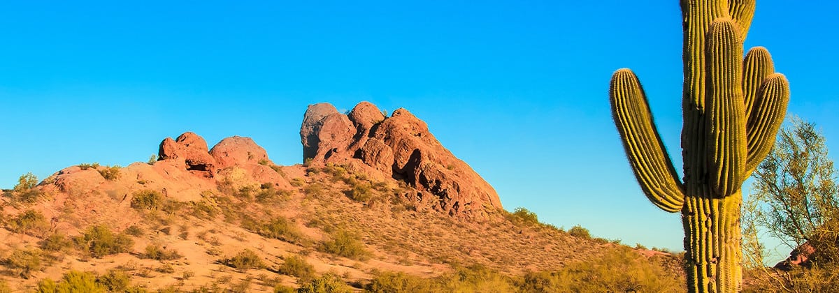 Carrington College In Arizona Campus Locations