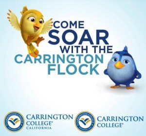Carrington Flock