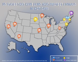 Dog Laws Map