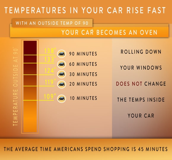 Temperatures in Car