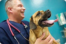 Veterinary Technician Program