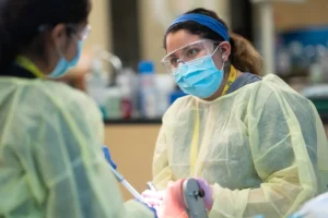 Guide to Becoming a Dental Assistant