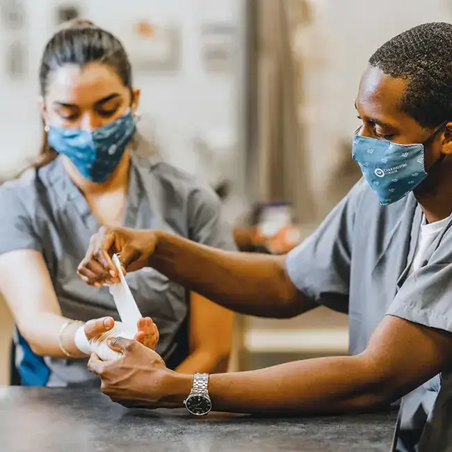 Carrington College Practical Nursing Career Guide