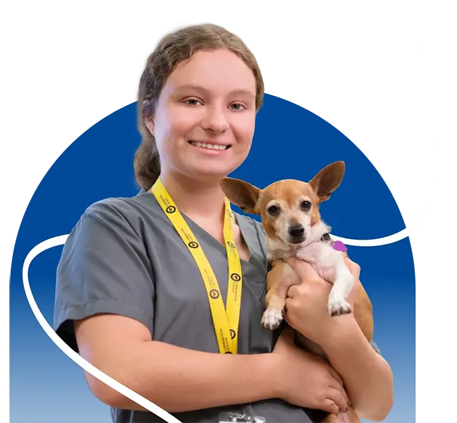 Carrington's Veterinary Programs Hero