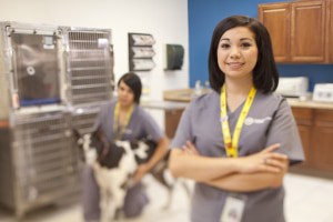 Veterinary Assisting