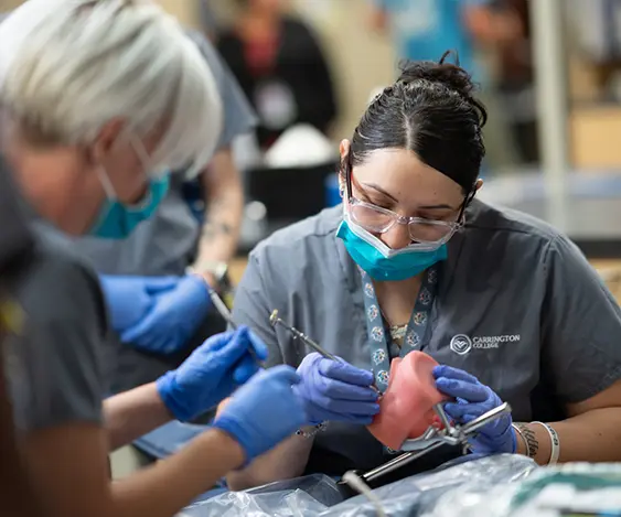 Carrington College Dental Assisting Program Details