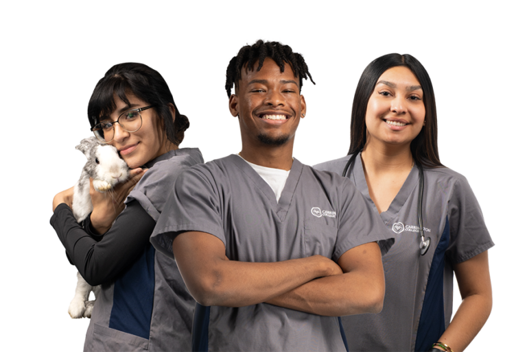 Health Care Degrees & Certificates at Carrington College Carrington