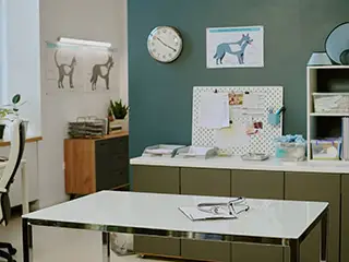 The Secrets of Veterinary Practice Management: How Practice Managers Drive Veterinary Excellence