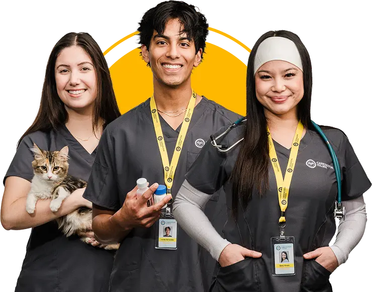 Carrington College HP Hero 2026